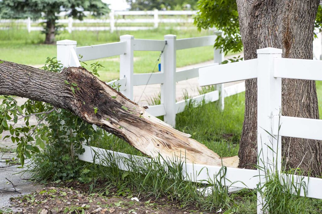 Is My Fence Damage Covered by Homeowners Insurance in Southwest Florida